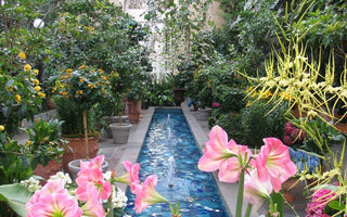 America's Best Botanical Gardens