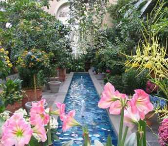 America's Best Botanical Gardens