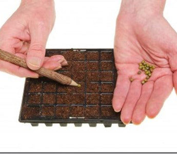 Propagation: Sowing Seeds