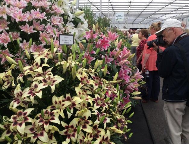 A Behind-the-scenes Look At The World's Top Flower Show