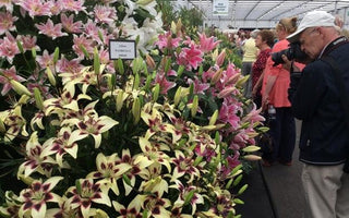 A Behind-the-scenes Look At The World's Top Flower Show