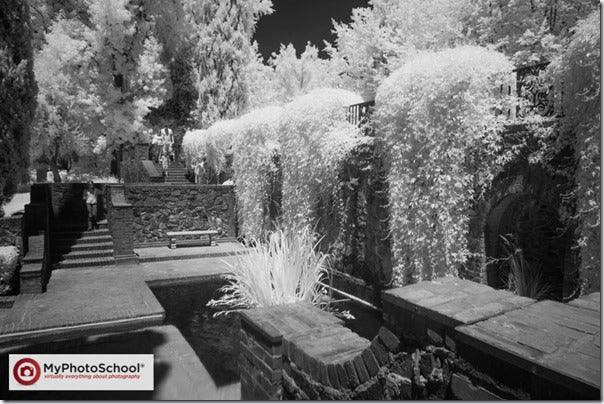 Converting Your Camera to Infrared