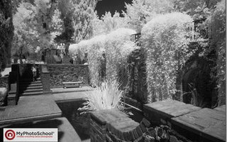 Converting Your Camera to Infrared