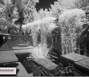 Converting Your Camera to Infrared