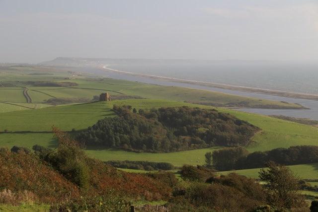 The Tropic of Dorset &ndash; A visit to Abbotsbury Gardens