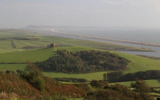 The Tropic of Dorset &ndash; A visit to Abbotsbury Gardens