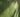 Seasonal Lawn Care; Removing Dead Grass