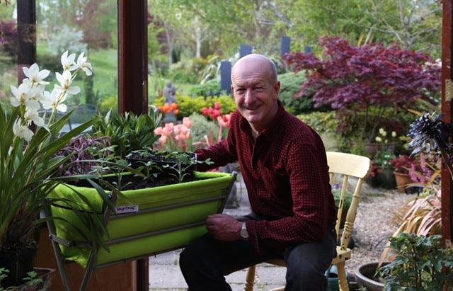 Growing tomatoes and chillies &ndash; starting them indoors