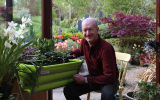 Growing tomatoes and chillies &ndash; starting them indoors