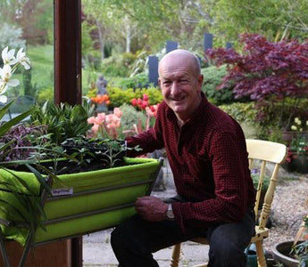 Growing tomatoes and chillies &ndash; starting them indoors