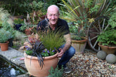 Planting containers for fall colour: flower arranging with plants