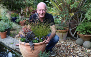 Planting containers for fall colour: flower arranging with plants