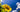 How to Grow Sunflowers: A Step by Step Guide