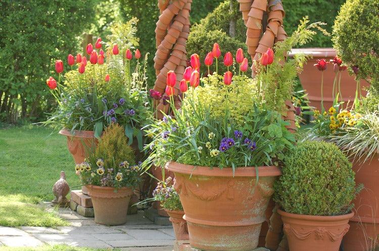 Container Gardening with Harriet Rycroft, Whichford Pottery