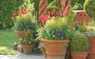 Container Gardening with Harriet Rycroft, Whichford Pottery