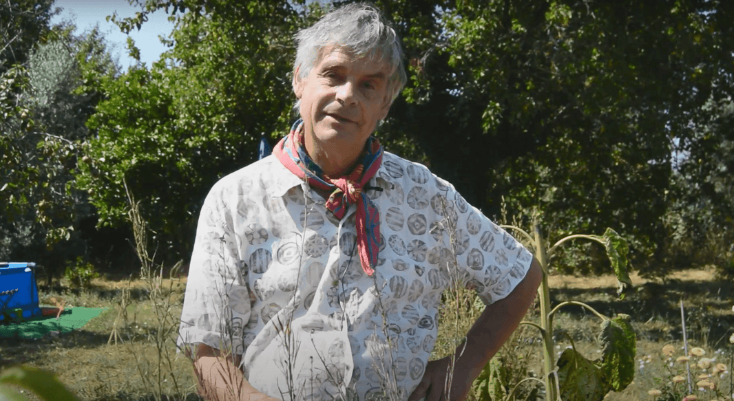 Episode 13: Collecting your own seeds with Dr Noel Kingsbury