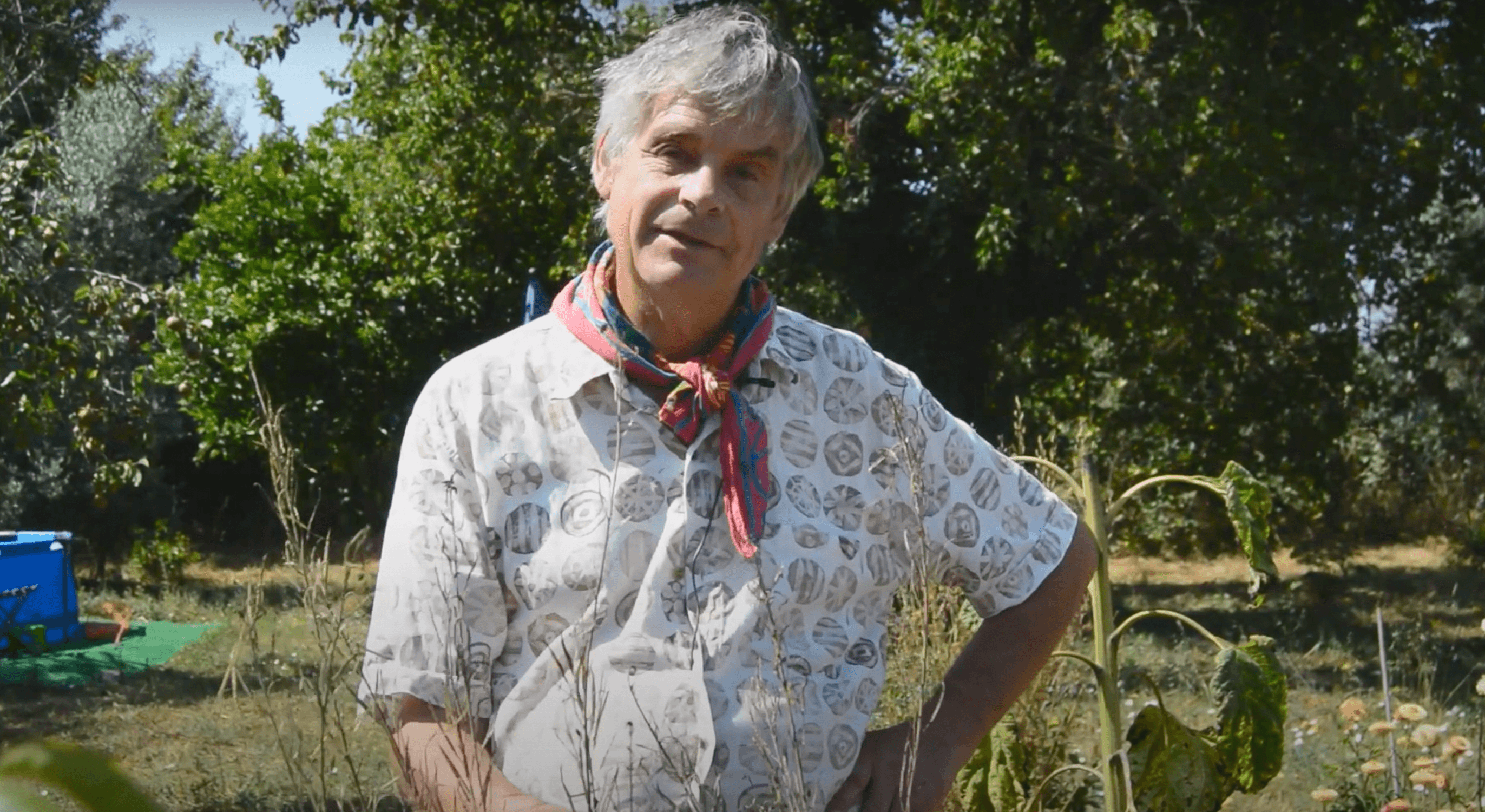 Episode 13: Collecting your own seeds with Dr Noel Kingsbury