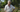 Episode 13: Collecting your own seeds with Dr Noel Kingsbury