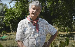 Episode 13: Collecting your own seeds with Dr Noel Kingsbury