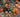 Pumpkins, Halloween, Black Cats and Wonderfully Wicked Fall Colour
