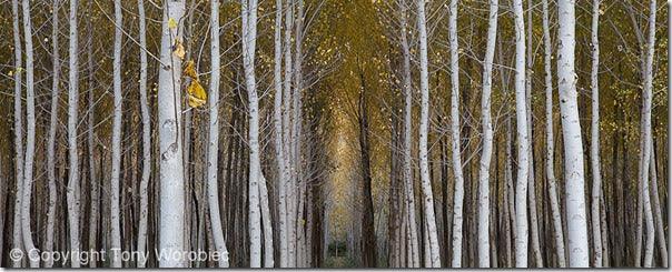 10 Creative Landscape Photography Tips