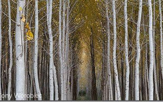 10 Creative Landscape Photography Tips