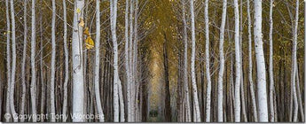 10 Creative Landscape Photography Tips