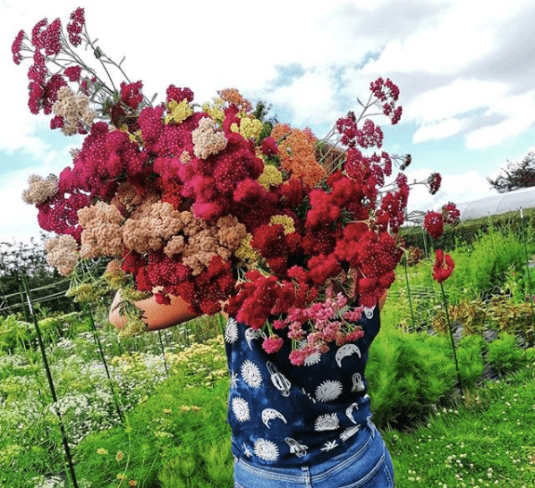 "The Art of Environmental Floristry has changed every way that I look at flowers"