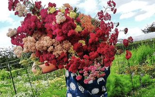 "The Art of Environmental Floristry has changed every way that I look at flowers"
