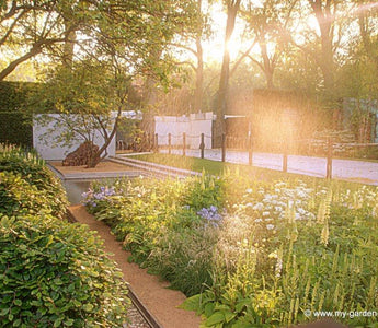 Best in Show Chelsea Flower Show 2014 Luciano Giubbilei&rsquo;s Laurent Perrier Garden