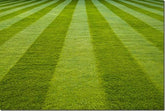 Lawns: How to Lay Turf/Sod