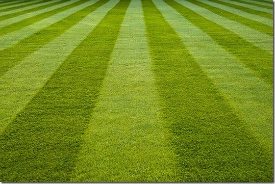 Lawns: How to Lay Turf/Sod