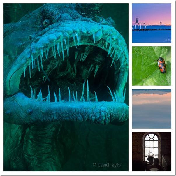 How to Assess Your Images (Part 2)