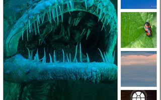 How to Assess Your Images (Part 2)