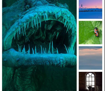How to Assess Your Images (Part 2)