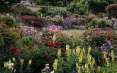 10 Best UK Gardens to Visit