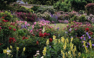 10 Best UK Gardens to Visit