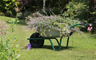 What to look for when buying a wheelbarrow