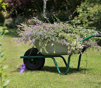 What to look for when buying a wheelbarrow