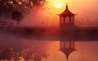 How to Photograph Gardens with Clive Nichols