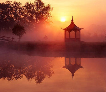 How to Photograph Gardens with Clive Nichols
