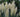 Unpopular Plants Worth Growing