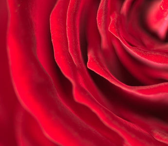 What Your Flower Choice Says About You