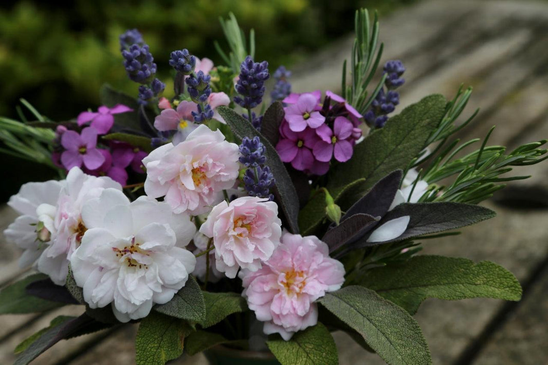Summer Foliage For Flower Arranging