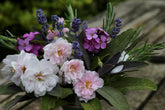 Summer Foliage For Flower Arranging