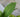 Weapons of Gnat Destruction: The Ultimate Guide to Killing Fungus Gnats