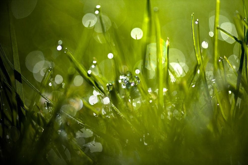 Bokeh Explained