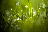 Bokeh Explained