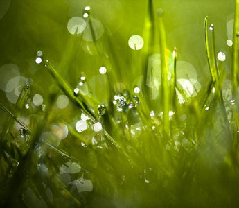 Bokeh Explained
