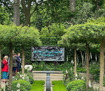 Highlights from RHS Chelsea Flower Show 2022